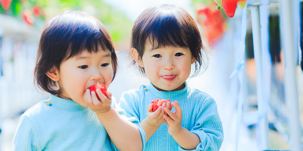 いちごの直販＆いちご狩り