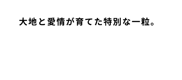 大地と愛情が育てた特別な一粒。