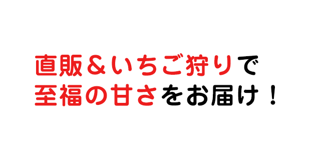 直販＆いちご狩りで至福の甘さをお届け！