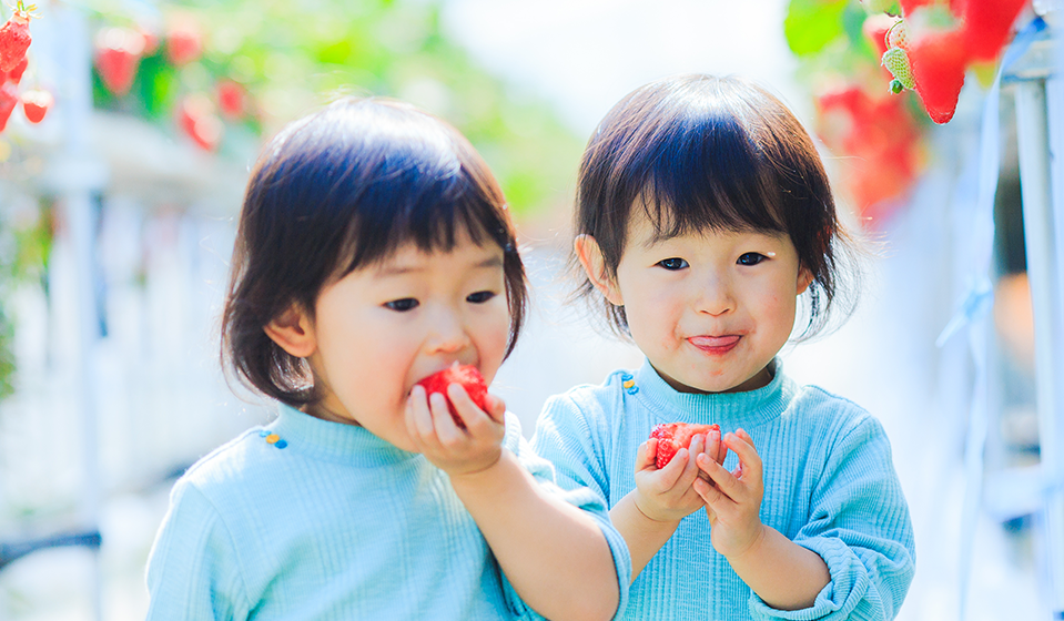 いちごの直販＆いちご狩り